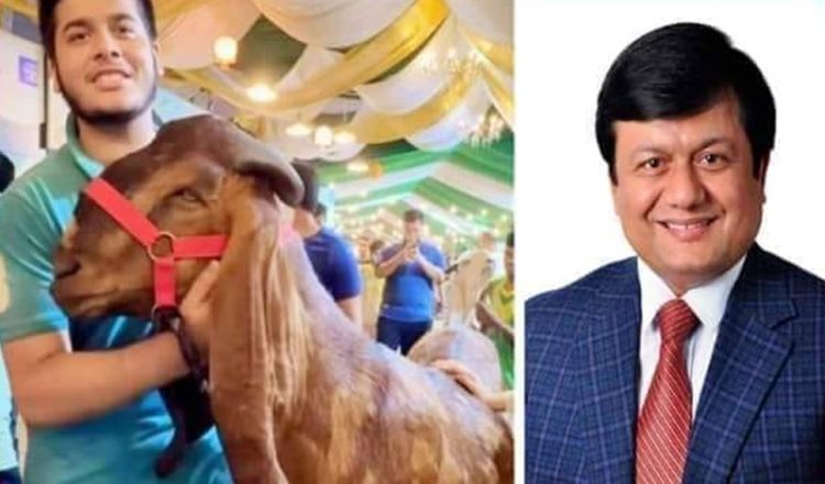 যেসব অপরাধে ফেঁসে যাচ্ছেন মতিউর